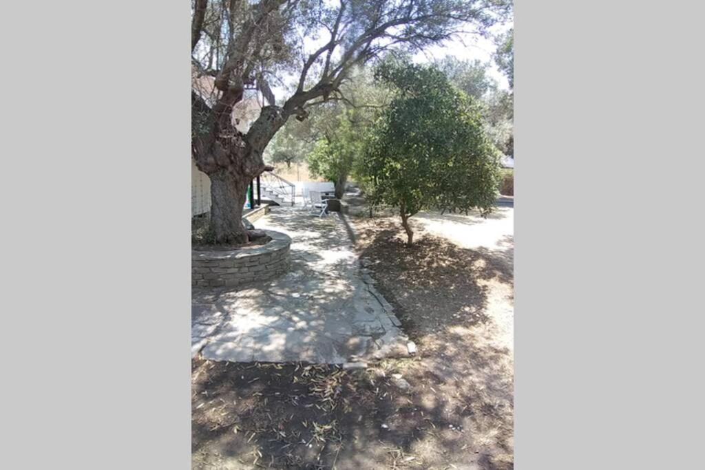 Villa Nefolia Vourvourou Exterior foto